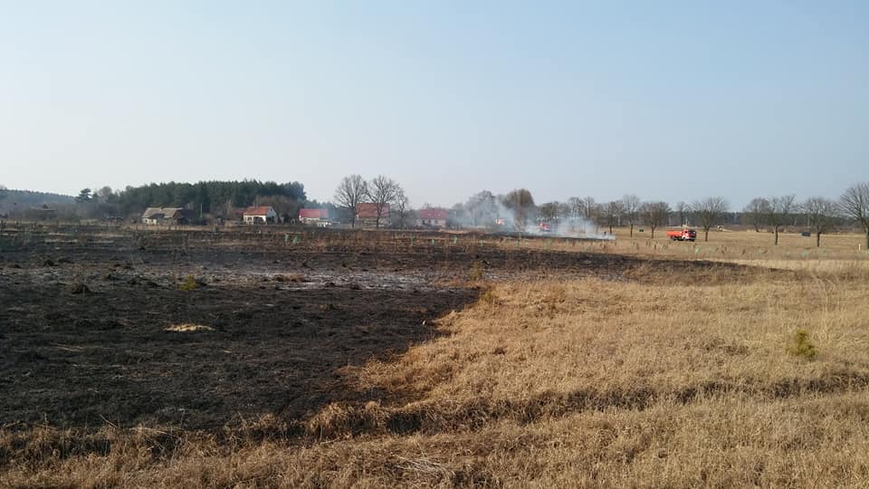 Płonące trawy mogły zagrozić budynkom