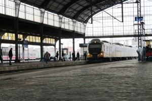 PKP (11)