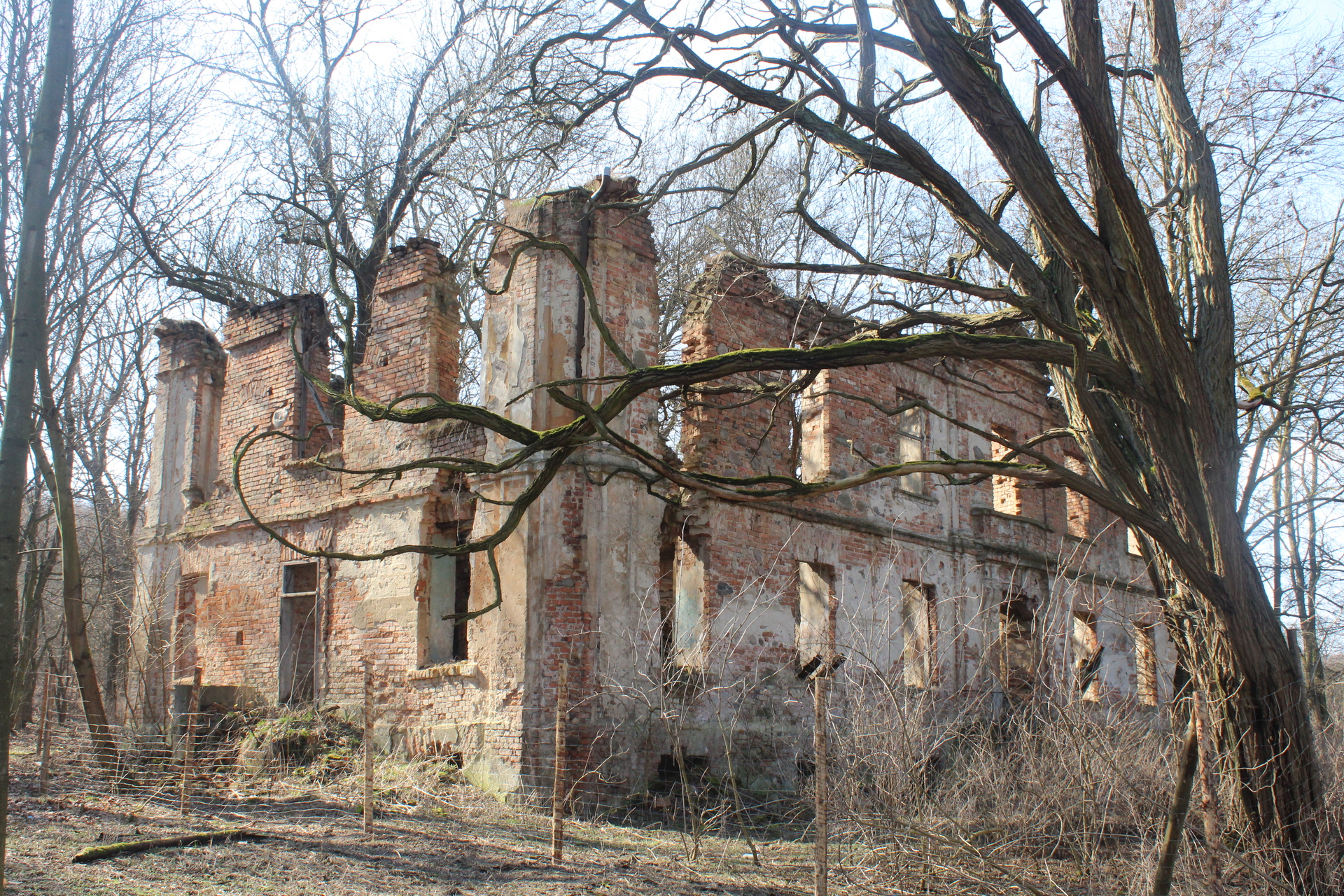 Ruiny pałacu w Żelaznym Moście