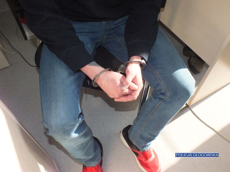 Diler w rękach policji