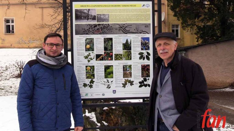 Drzewami chcą przyciągnąć turystów (WIDEO)