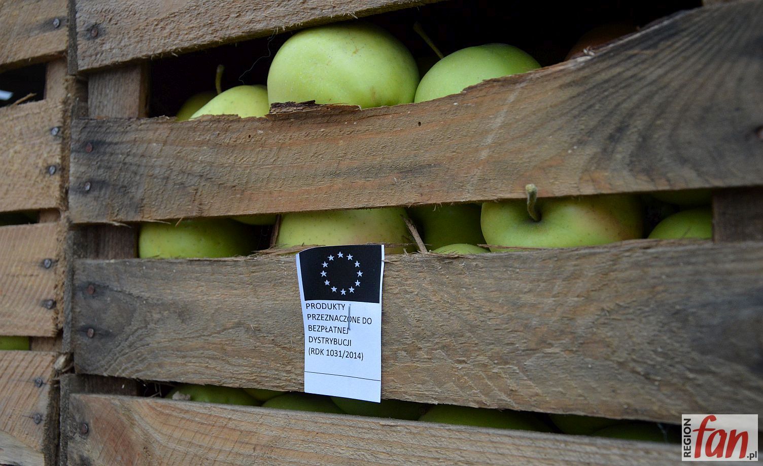 Jabłka znów za darmo. Tym razem dla najuboższych