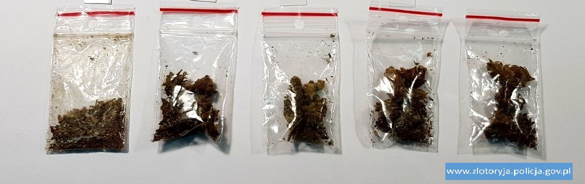19- i 20-latek zatrzymani z narkotykami