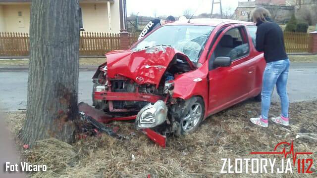 Podróż zakończona na drzewie (FOTO)