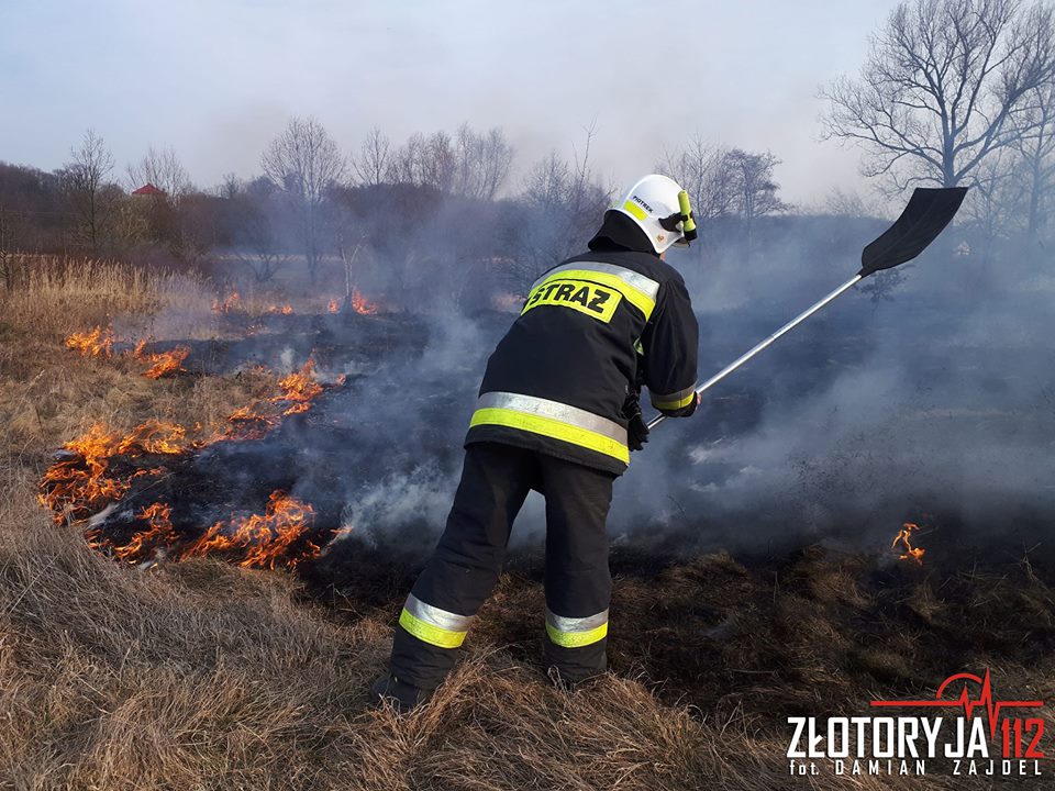 Walczyli z kolejnym pożarem traw (FOTO)