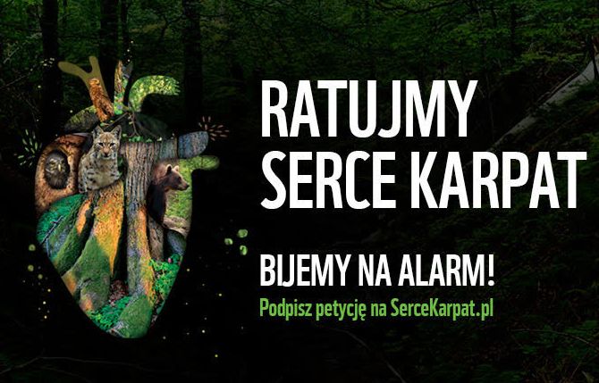 W Legnicy zgasną światła. Dla Ziemi