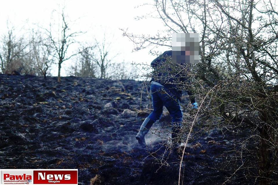 Ludzkie szczątki znalezione na Górkowie (FOTO)