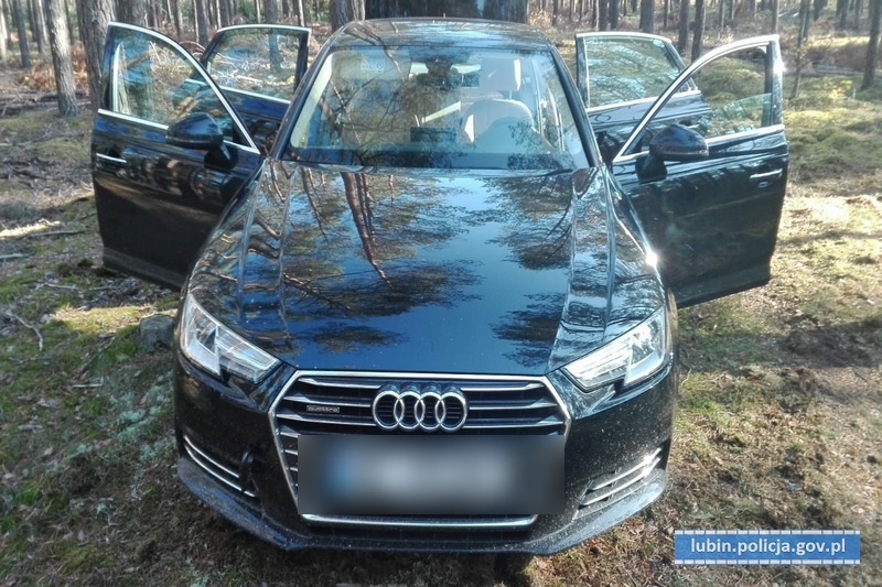 Podróż zakończona na drzewie (FOTO)