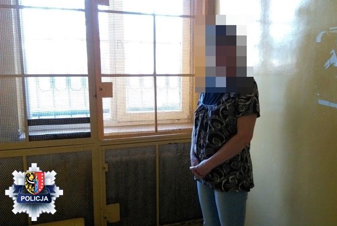 Próbowała „odbić” znajomego z rąk policjantów (WIDEO)