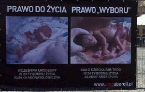 aborcja