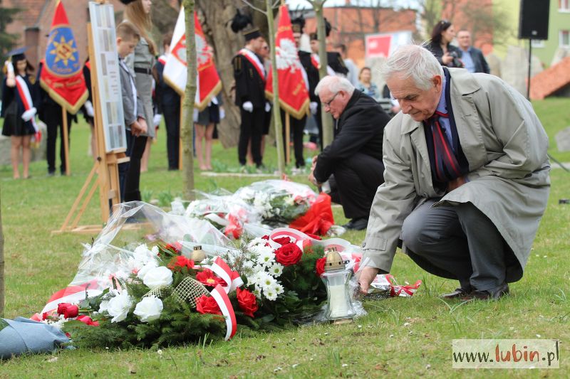Każde drzewo to inna osoba (FOTO)