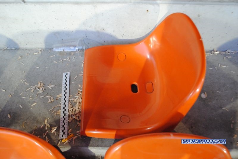 Stadionowy wandal usłyszał wyrok