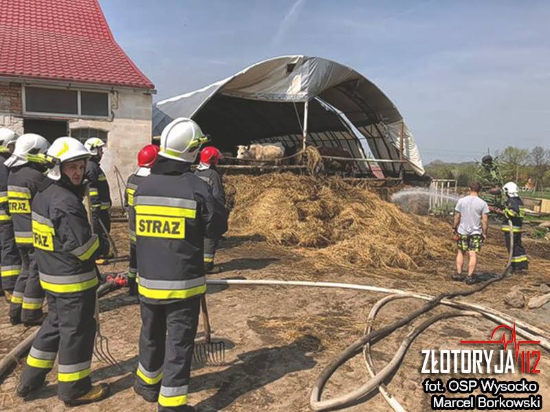 Cztery jednostki straży pożarnej walczyły z żywiołem (FOTO)