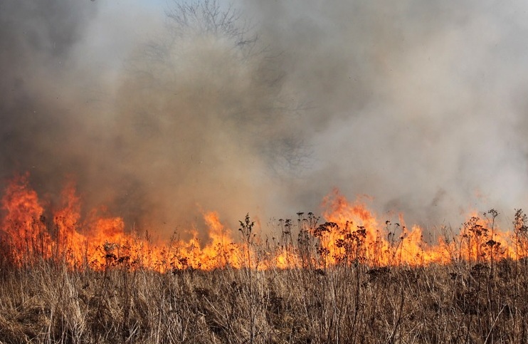 Koronawirus im niestraszny: Łamią zakaz wypalania traw