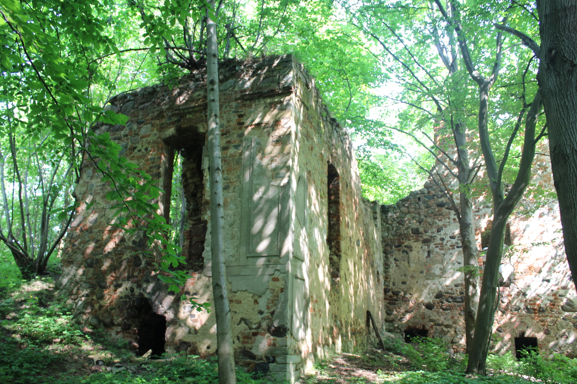 Ruiny pałacu w Grodziszczu (FOTO)