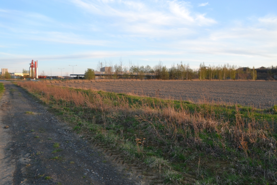 Nowe miejsca pracy na strefie