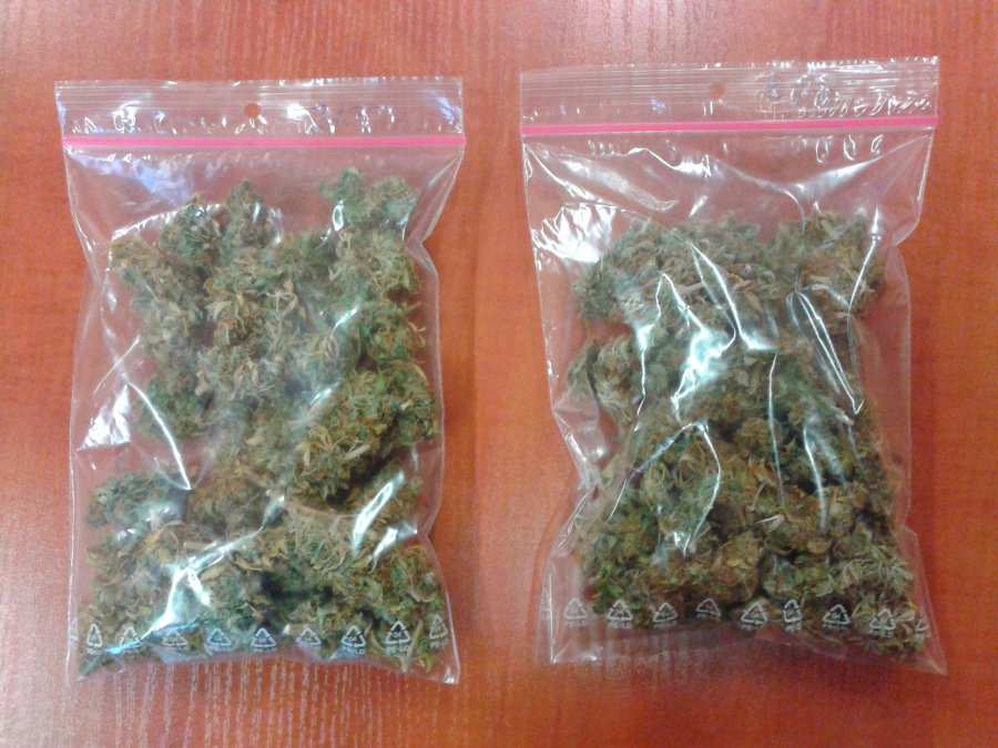 Zatrzymani na gościnnych występach