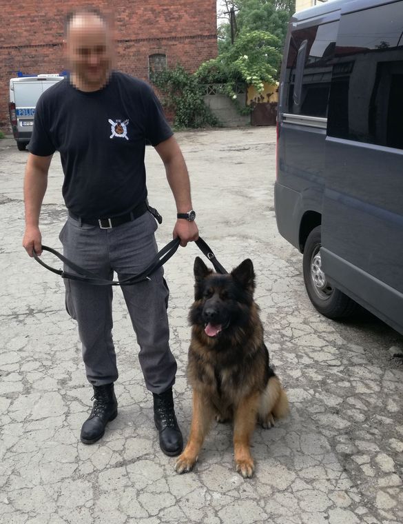 Czworo zatrzymanych za narkotyki. Pomógł pies