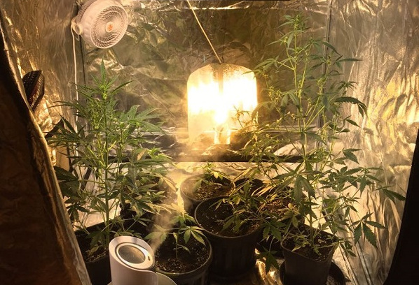 Poletko w szafie, właściciel pod wpływem?