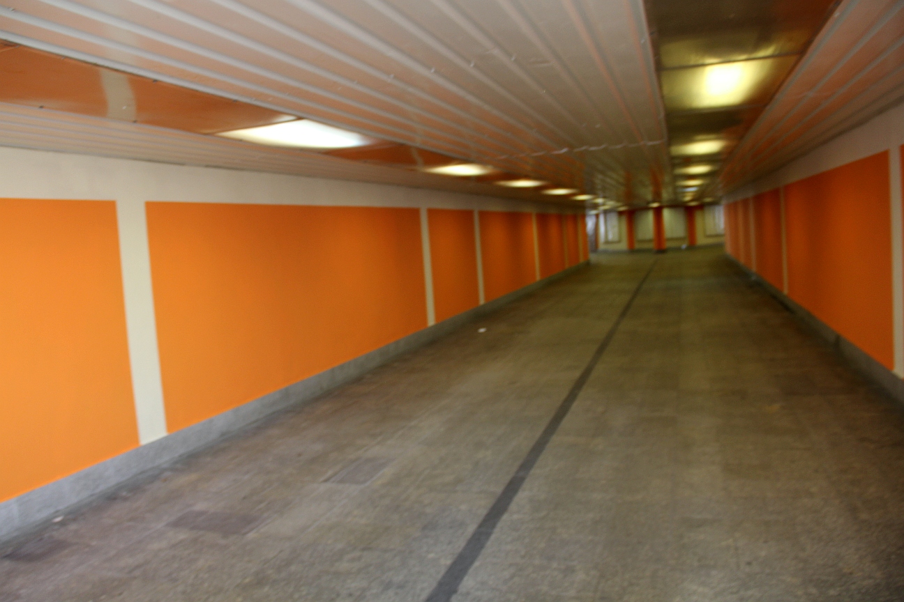 10 tys. na walkę z wandalami