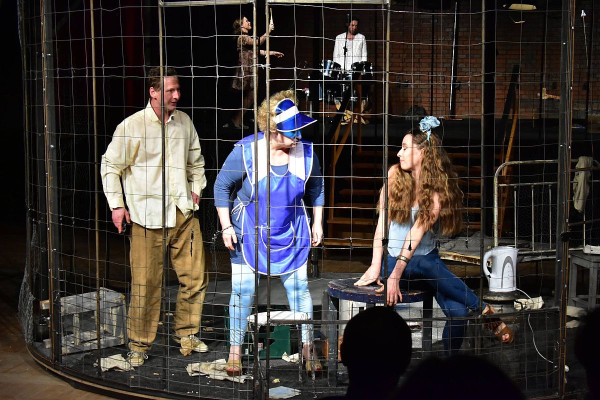 Złote Miedziaki przyznane