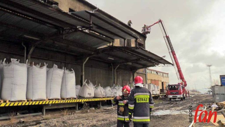 Kontrolerzy sprawdzili, co dzieje się za bramami Ecogold