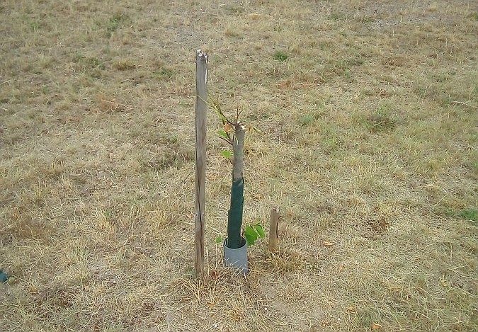 Złodzieje zmorą gminy. Wójt prosi o pomoc