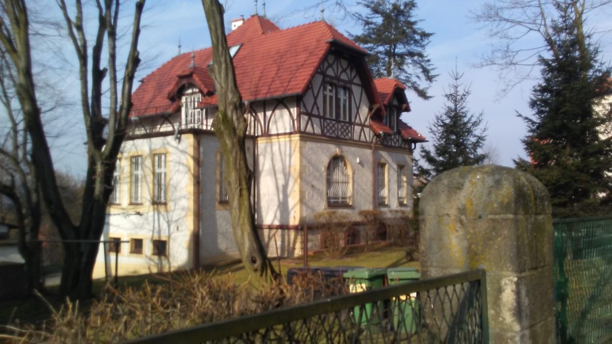 Tragedia w Złotoryi. Syn zabił swoją matkę