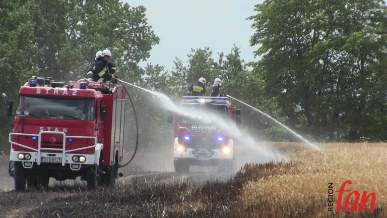 Idą żniwa – płoną zboża (FOTO, WIDEO)