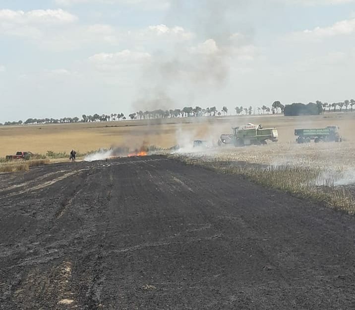 Pożary na polach. Strażacy apelują o ostrożność (FOTO)