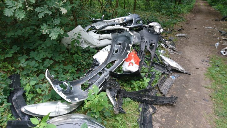 Z lasów zrobili sobie wysypiska śmieci