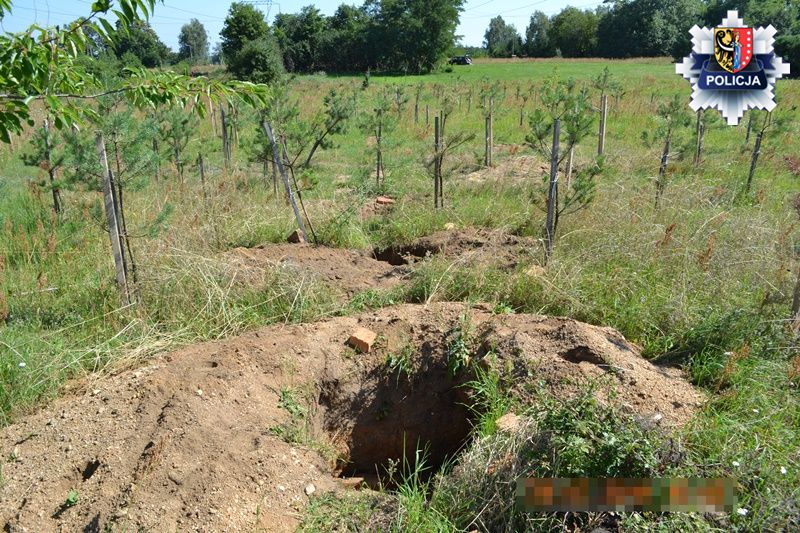 Kradł kable. Wpadł na gorącym uczynku (WIDEO)
