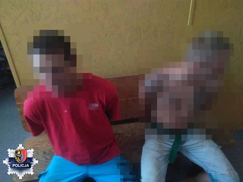 Seryjni złodzieje zatrzymani  