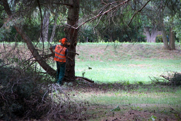 W lasku będzie wreszcie porządek?  