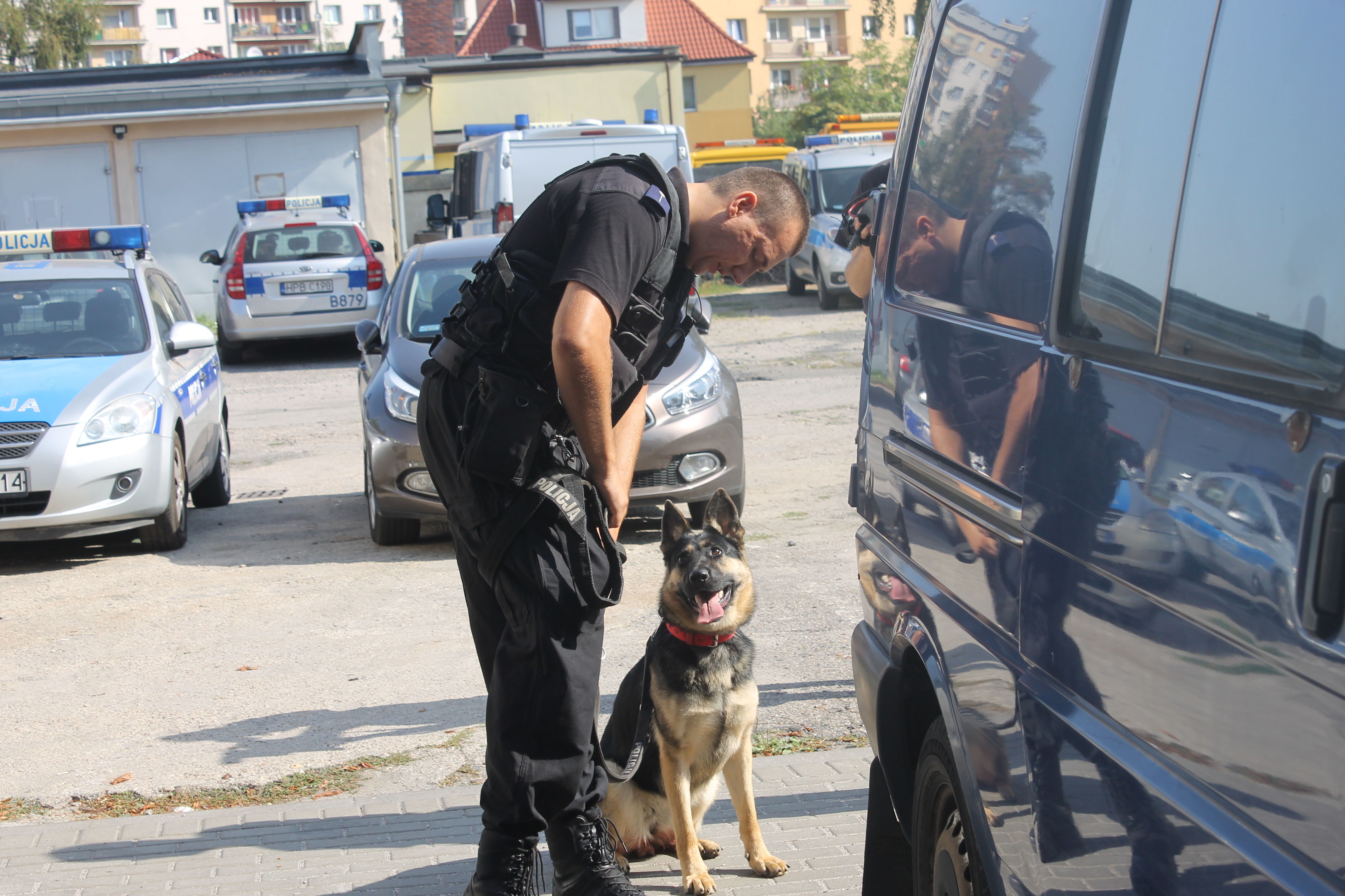 Wyszkolony do wykrywania narkotyków (WIDEO)