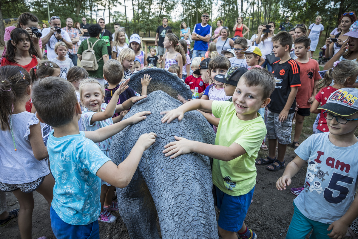 Noc z dinozaurami (FOTO i WIDEO)