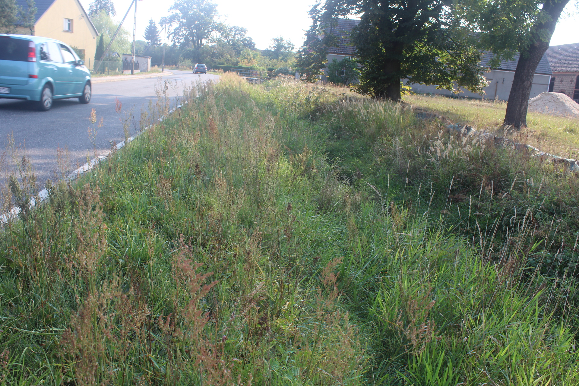 Kiedy Kalina w Sobinie pokaże dno?   