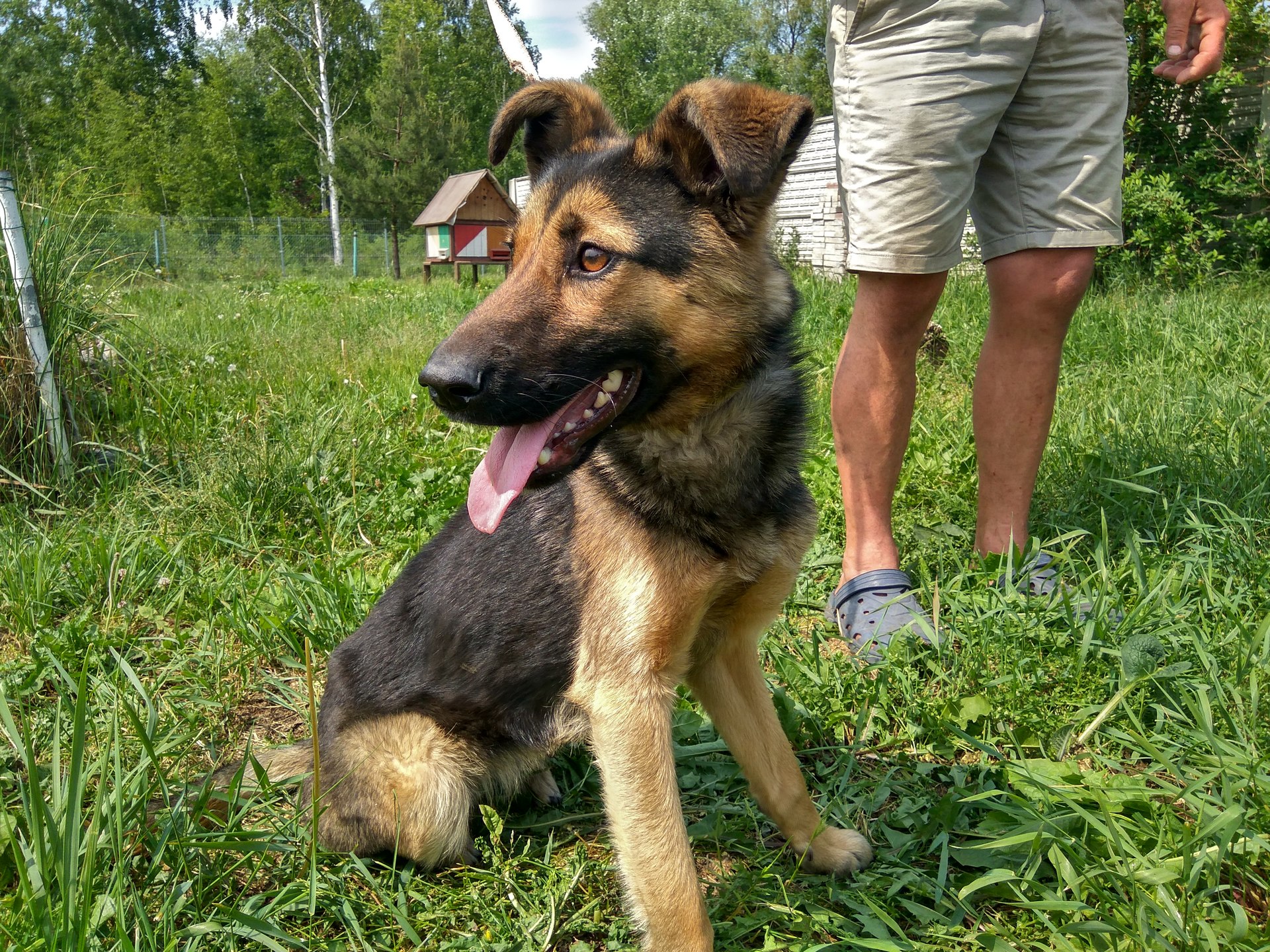 Czekają na nowych właścicieli (FOTO)