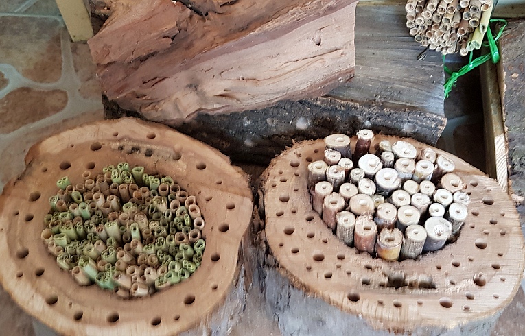 Rodzinnie w legnickim parku