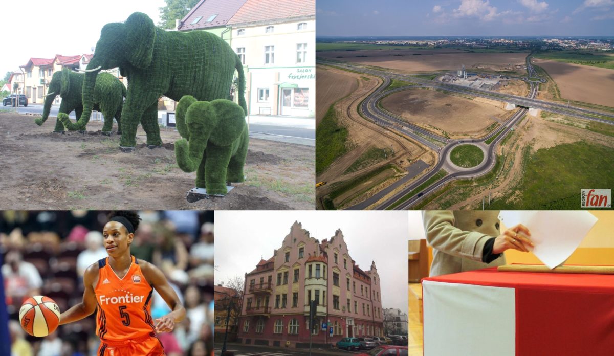 Flesz RF – przegląd wydarzeń z regionu