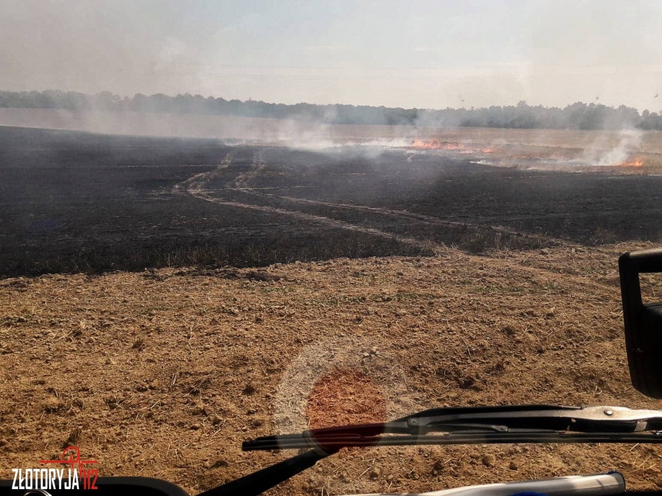 Ściernisko w ogniu (FOTO)