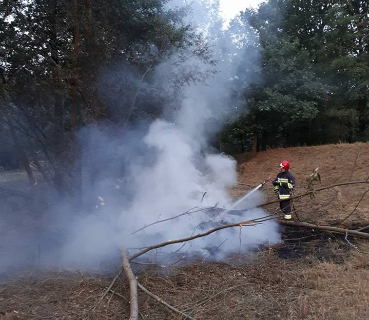 Pożar pozostałości roślinnych
