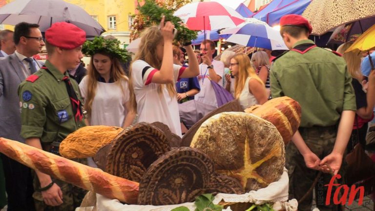 Jawor pachnie chlebem i piernikiem (FOTO)