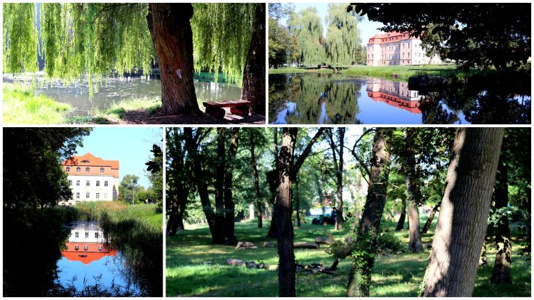 Oczyszczą stawy ze śmieci