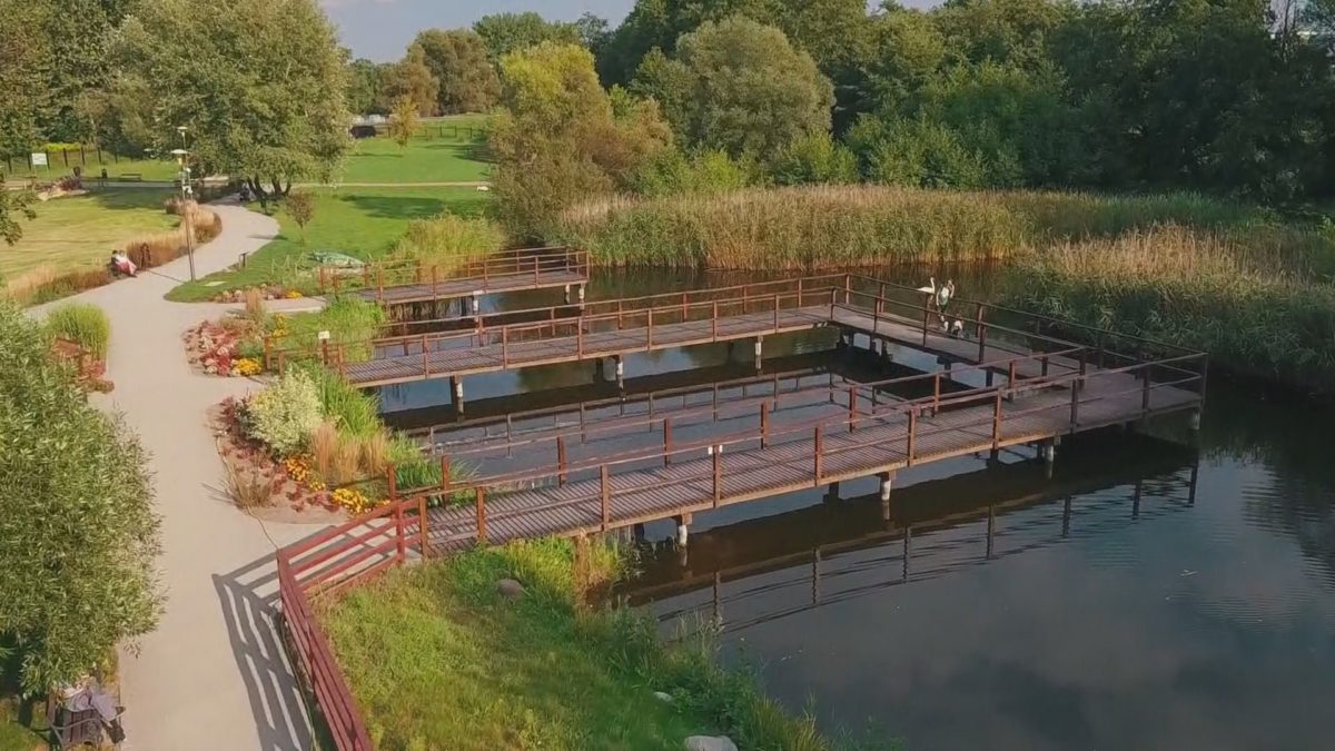 Zielone ABC: Miejskie tereny zieleni