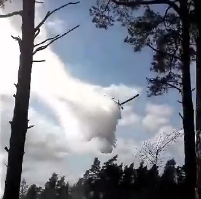 Pożar na działkach. Altana spłonęła doszczętnie (FOTO)