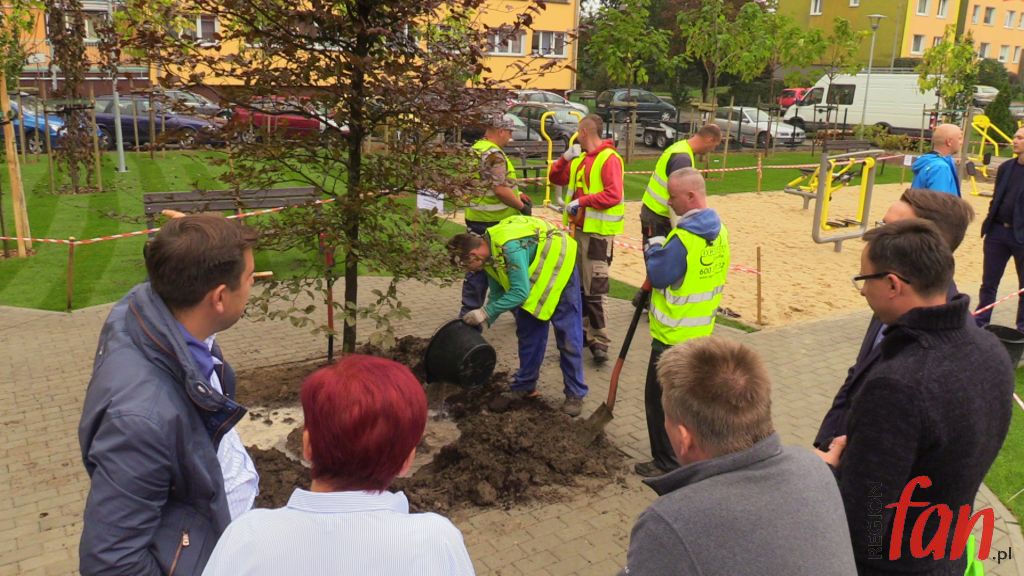 Zielono na osiedlu Metalowców (FOTO, WIDEO)
