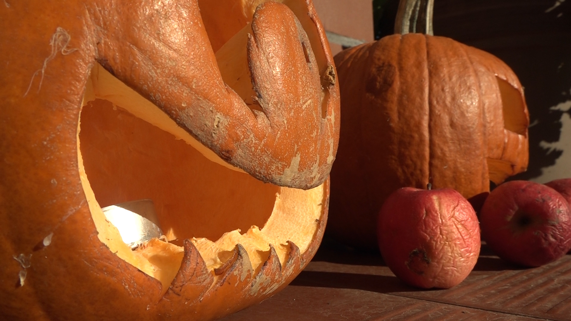 Tradycyjne Zaduszki czy halloweenowe dynie? (WIDEO)