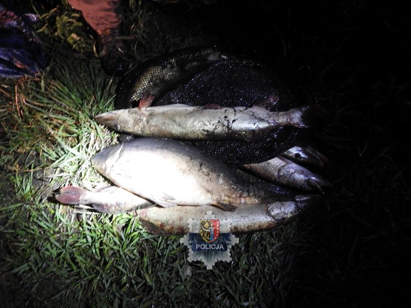 Przemkowianie kłusowali w rezerwacie przyrody  