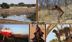 Fotostopem przez świat